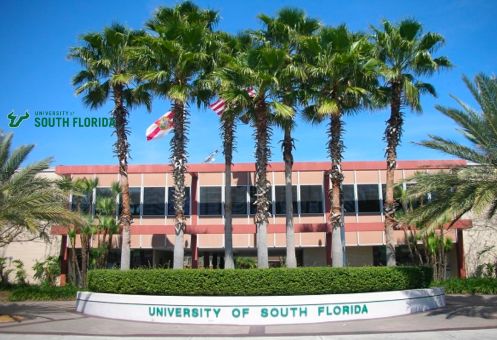 University of South Florida, Tampa, Florida (Only UG)